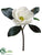 Magnolia Pick - White - Pack of 12