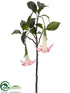 Silk Plants Direct Angel's Trumpet Spray - Pink Cream - Pack of 6