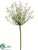 Allium Blossom Spray - Cream Green - Pack of 6