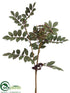 Silk Plants Direct Ash Spray - Green Burgundy - Pack of 12
