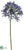 Agapanthus Spray - Blue Burgundy - Pack of 12