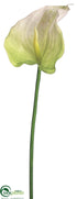 Silk Plants Direct Obake Anthurium Spray - Cream Green - Pack of 12
