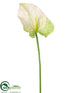 Silk Plants Direct Obaki Anthurium Spray - Cream Green - Pack of 12