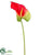 Obaki Anthurium Spray - Red Green - Pack of 12