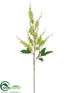 Silk Plants Direct Astilbe Spray - Green Cream - Pack of 12