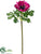 Anemone Spray - Boysenberry - Pack of 24