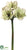 Amaryllis Spray - Green Burgundy - Pack of 6