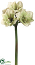Silk Plants Direct Amaryllis Spray - Green Burgundy - Pack of 6