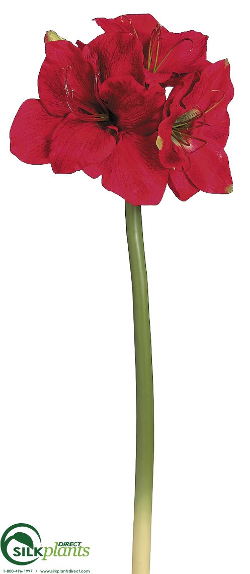 Amaryllis Spray - Red - Pack of 6 - (CER-234ASHS