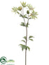 Silk Plants Direct Astrantia Spray - Green Cerise - Pack of 12