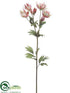 Silk Plants Direct Astrantia Spray - Pink Cerise - Pack of 12