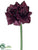 Amaryllis Spray - Burgundy - Pack of 6