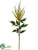 Astilbe Spray - Yellow - Pack of 12