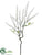 Amaranthus Spray - White - Pack of 12