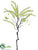 Amaranthus Spray - Cream Green - Pack of 12