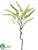 Amaranthus Spray - Green - Pack of 12