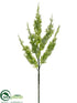 Silk Plants Direct Astilbe Spray - Cream Green - Pack of 12