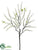 Amaranthus Spray - White - Pack of 12