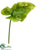 Giant Anthurium Spray - Green - Pack of 12