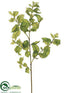 Silk Plants Direct Basil Spray - Green - Pack of 6