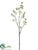 Cherry Blossom Branch - White - Pack of 6