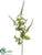 Flowering Basil Spray - Cream Green - Pack of 6