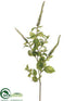 Silk Plants Direct Flowering Basil Spray - Cream Green - Pack of 6