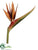 Bird of Paradise Spray - Camel Two Tone - Pack of 6