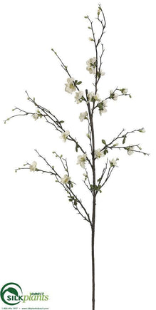 Quince Blossom Branch - Cream - Pack of 12