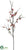 Quince Blossom Branch - Salmon - Pack of 12
