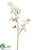 Silk Plants Direct Cherry Blossom Spray - White - Pack of 8