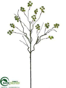 Blossom Branch - Lime - Pack of 12