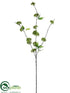Silk Plants Direct Verbena Blossom Spray - Green - Pack of 12