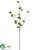 Verbena Blossom Spray - Green - Pack of 12