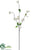 Verbena Blossom Spray - White - Pack of 12