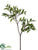 Smilax Berry Branch - Green Cream - Pack of 6
