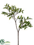 Silk Plants Direct Smilax Berry Branch - Green Cream - Pack of 6