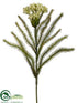 Silk Plants Direct Berzelia Spray - Green - Pack of 12