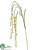 Bromeliad Spray - Yellow - Pack of 12