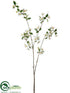 Silk Plants Direct Apple Blossom Spray - Cream - Pack of 6