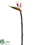 Silk Plants Direct Bird of Paradise Spray - Ivory Plum - Pack of 6