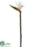 Silk Plants Direct Bird of Paradise Spray - Ivory - Pack of 6