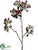 Silk Plants Direct Fall Blossom Spray - Green Burgundy - Pack of 12