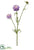 Scabiosa Spray - Lavender - Pack of 12