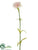 Carnation Spray - Blush - Pack of 24