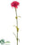 Carnation Spray - Tea Berry - Pack of 24