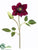 Clematis Spray - Wine - Pack of 12