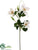 Clematis Spray - White - Pack of 12