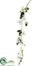 Silk Plants Direct Clematis Hanging Vine Spray - White - Pack of 6