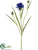 Cornflower Spray - Blue Dark - Pack of 24